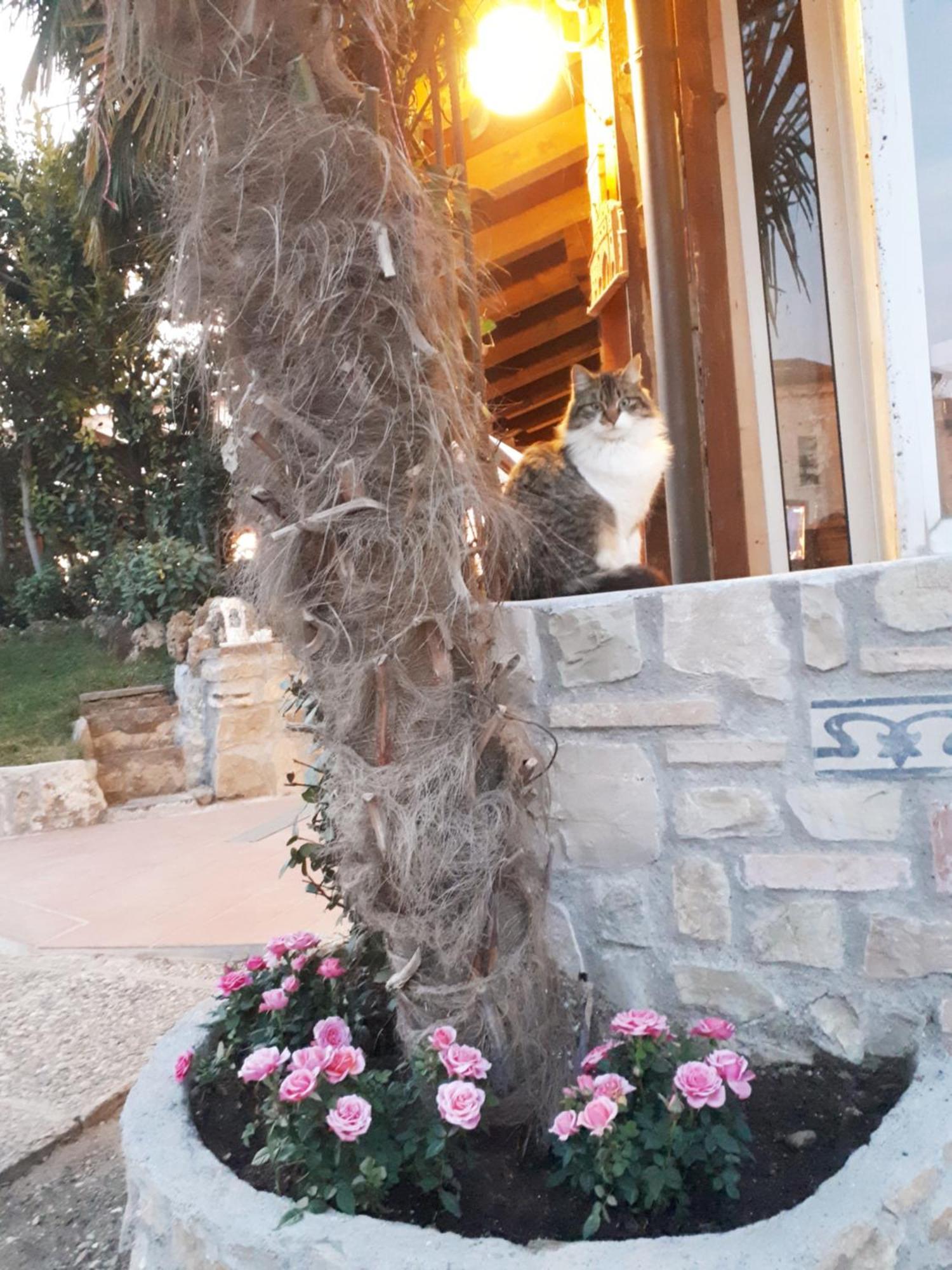 Perla Bed & Breakfast Gussago Bagian luar foto